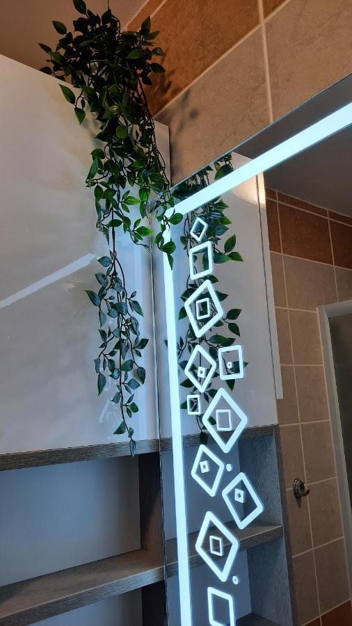 Apartman Modena Lux Vrnjačka Banja Exterior foto